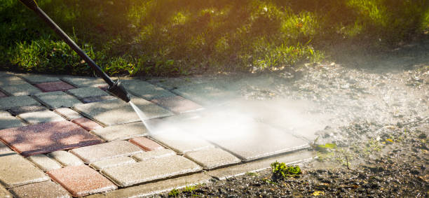 Best Fence Cleaning  in Mauriceville, TX